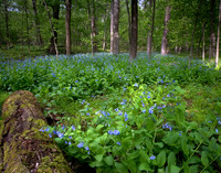 050507-IL-L-X-08