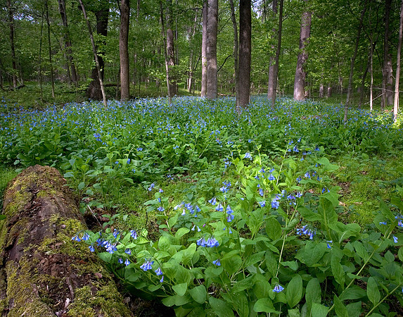 050507-IL-L-X-08