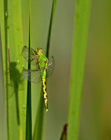 040612-IL-I-X-01