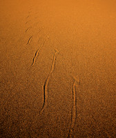 090912_103915_1