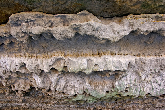 081230_114103_23_10485