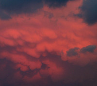 040523-IL-L-X-04