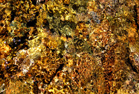 100906_115158_1b